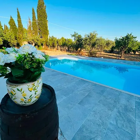 Don Alfonso
